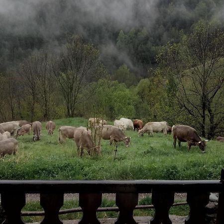 Can Serraima, Casa Rural A Prop De La Cerdanya Neva المظهر الخارجي الصورة