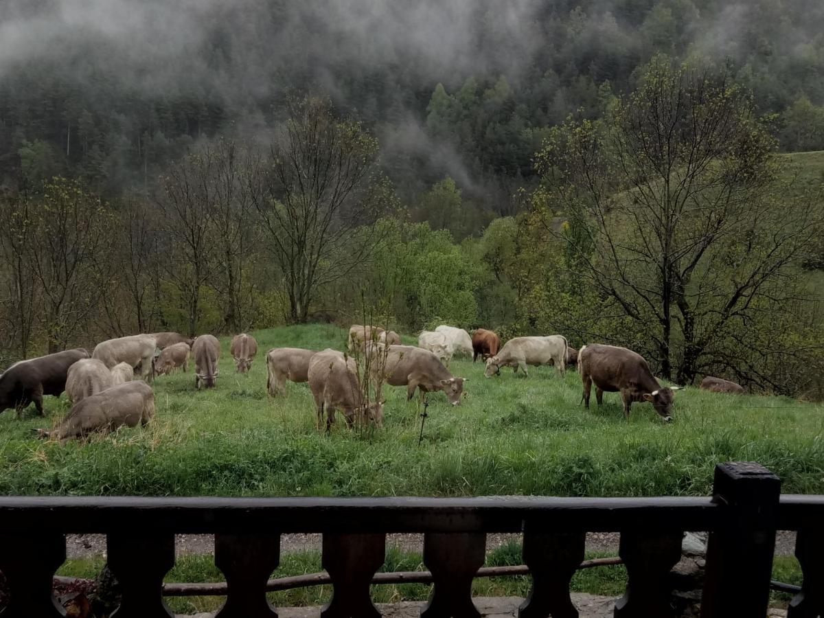 Can Serraima, Casa Rural A Prop De La Cerdanya Neva المظهر الخارجي الصورة
